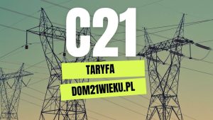 Read more about the article Taryfa C21: Oszczędzaj na energii dzięki jednej stawce za prąd