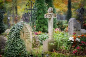 Read more about the article Rośliny na cmentarz – co posadzić na grobie, aby przetrwało jak najdłużej?