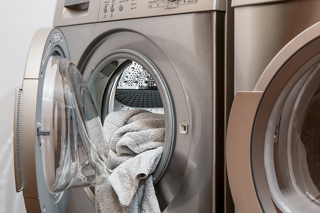 Read more about the article Grzyb w pralce – jak się go pozbyć i jak wyczyścić pralkę?