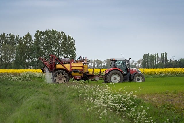 Read more about the article Olej parafinowy do oprysków – jak i kiedy z niego korzystać?