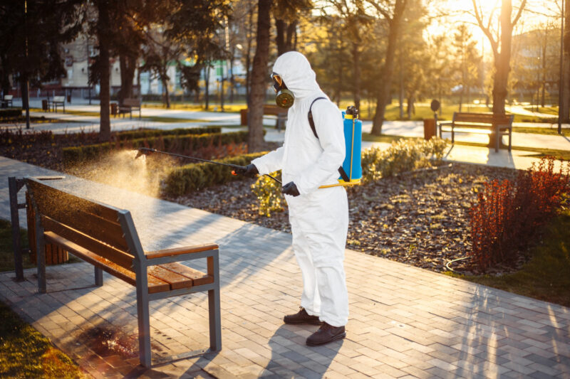 3 najpopularniejsze zabiegi DDD wykonywane latem